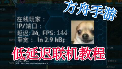 方舟手游联机怎么玩好,方舟手游重制版